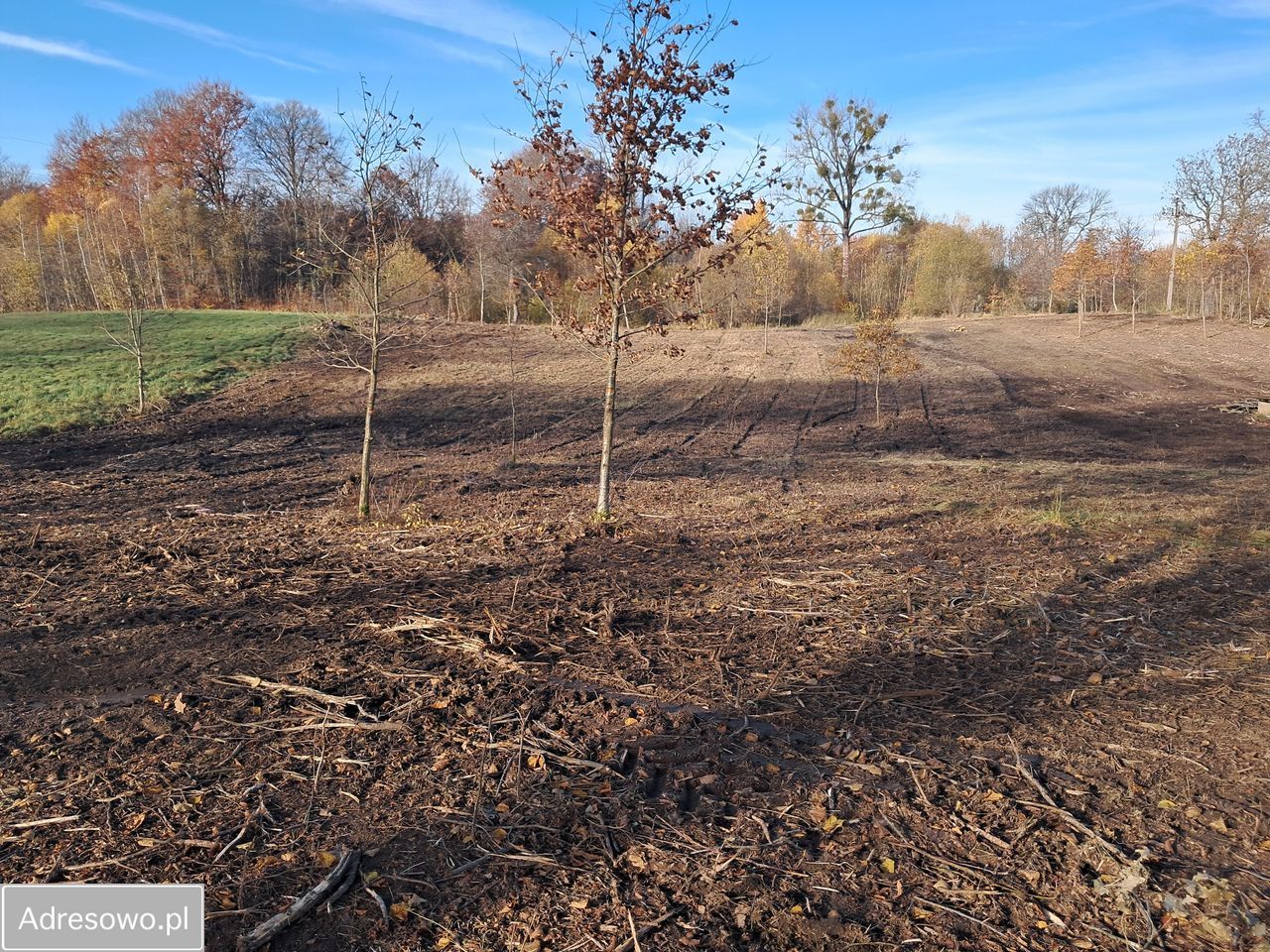 Działka budowlana Godzisław. Zdjęcie 6