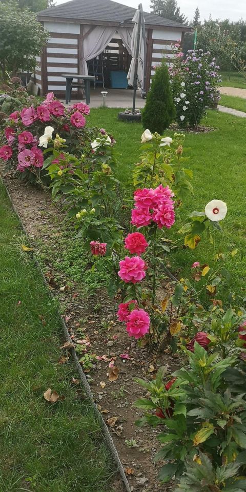 Działka rekreacyjna Wawrów. Zdjęcie 13