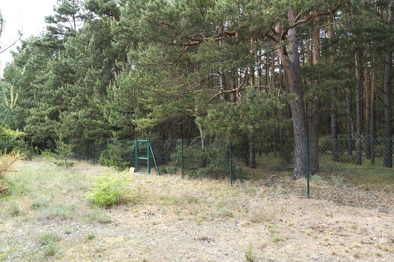 Działka budowlana Dzikowo Chrapy, ul. Tulipanowa. Zdjęcie 4