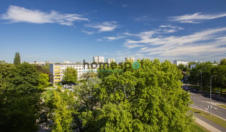 Mieszkanie 3-pokojowe Poznań Rataje, os. Jagiellońskie