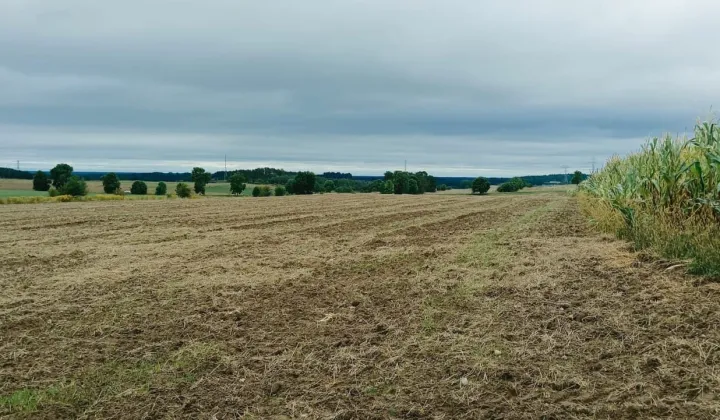 Działka rolno-budowlana Romany