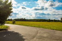 Działka rolno-budowlana Lasek. Zdjęcie 3