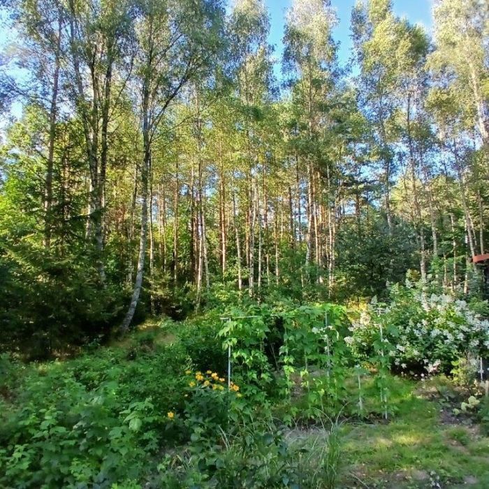 Działka rekreacyjna Lewinko. Zdjęcie 8