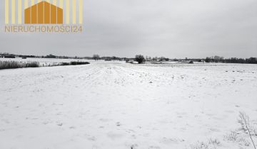 Działka siedliskowa Siennica