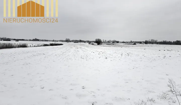 Działka siedliskowa Siennica