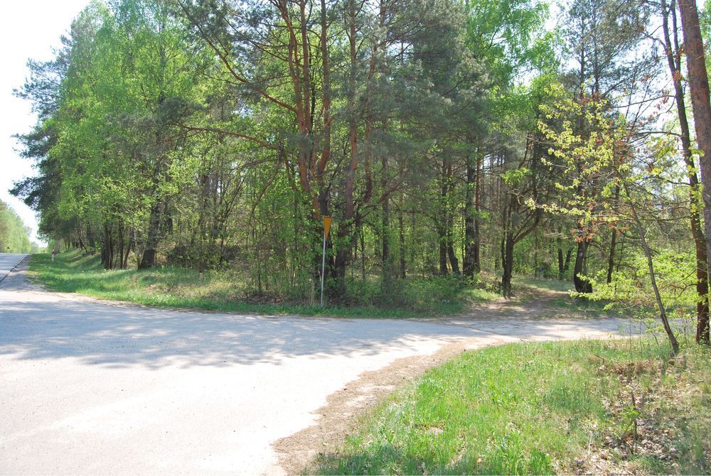 Działka budowlana Lipiny. Zdjęcie 8