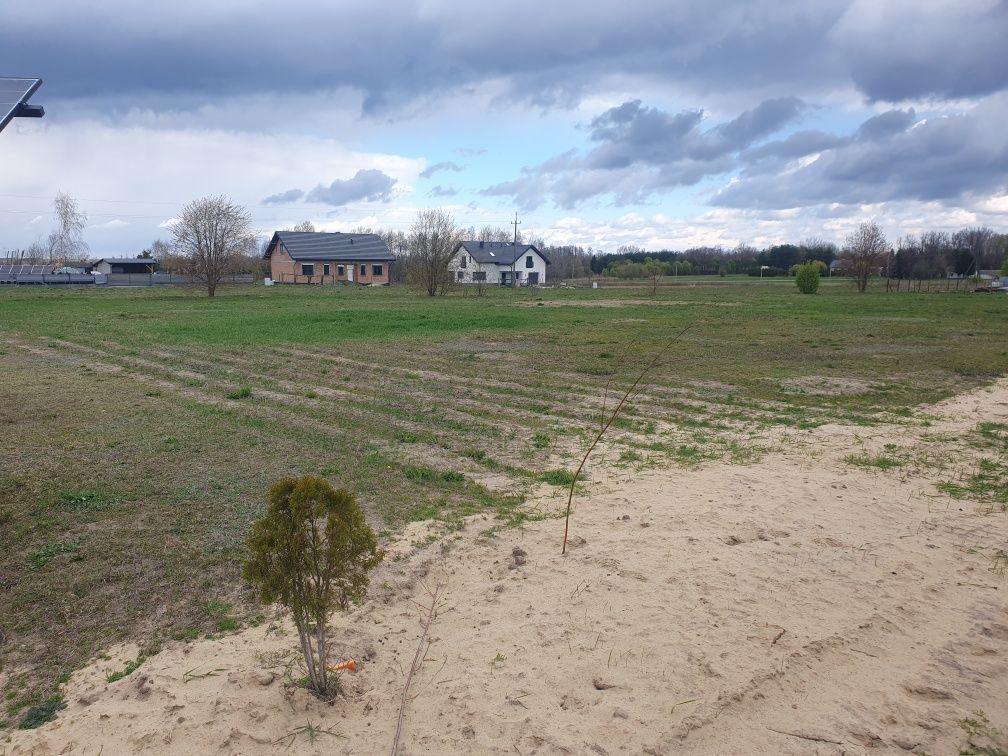 Działka budowlana Przybysz. Zdjęcie 1