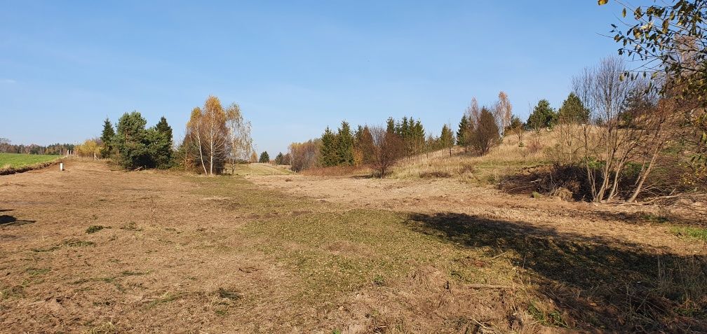 Działka rekreacyjna Borzechowo, ul. Letniskowa. Zdjęcie 4