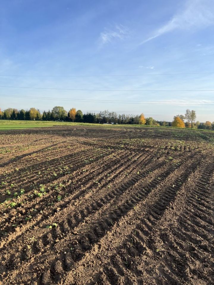 Działka budowlana Muntowo. Zdjęcie 2