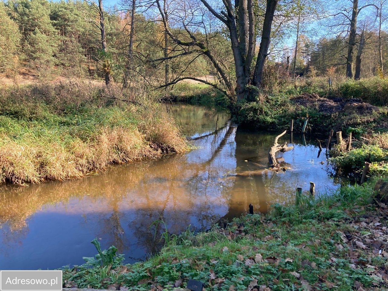dom wolnostojący, 4 pokoje Miechowice. Zdjęcie 15