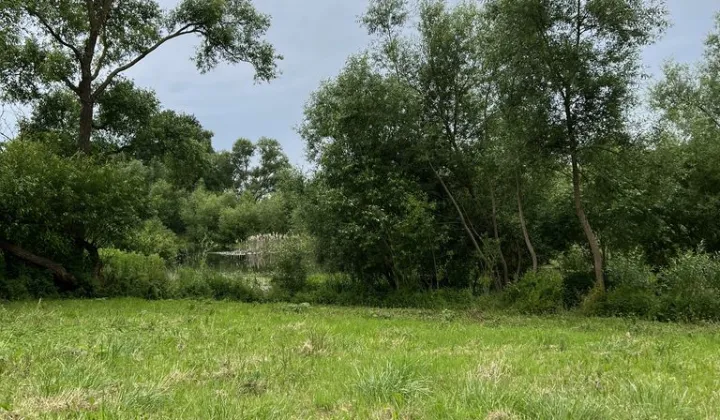 Działka rolna Koplino