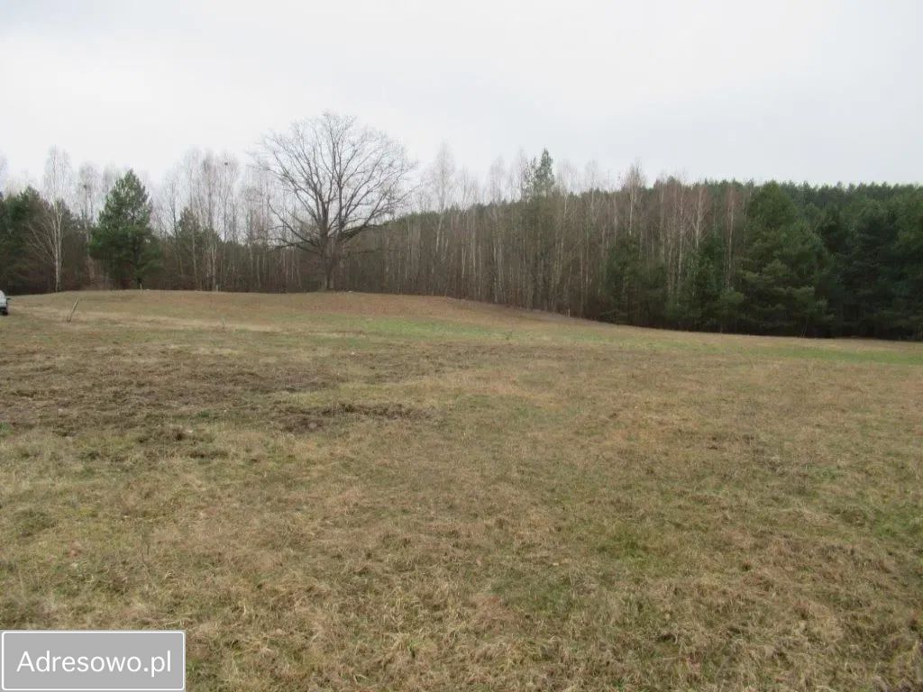 Działka budowlana Majdy, ul. Adama i Ewy. Zdjęcie 6