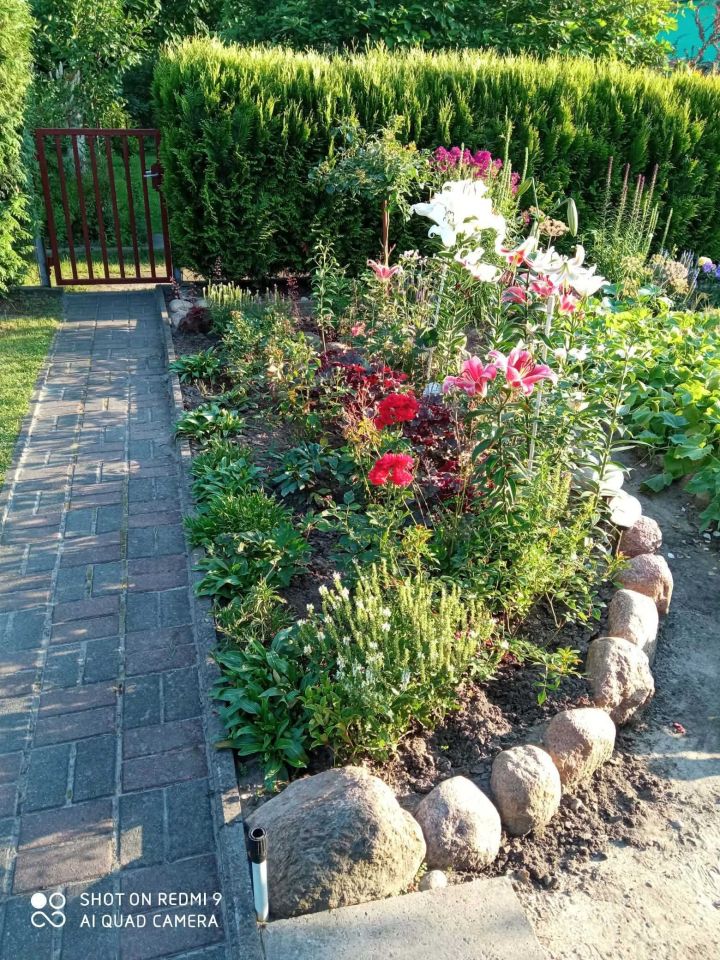 Działka rod Skierniewice. Zdjęcie 5