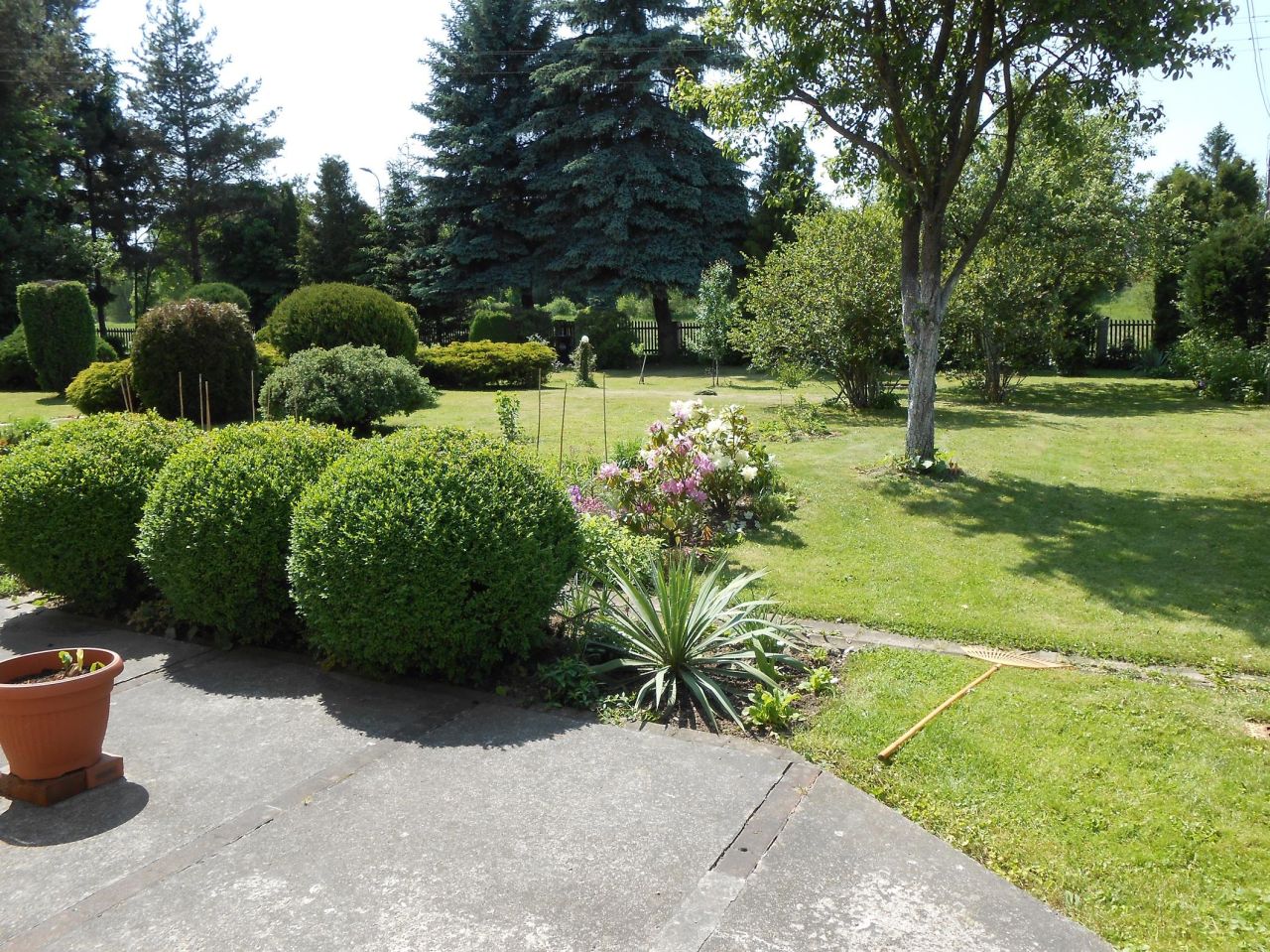 dom wolnostojący, 5 pokoi Kamienna Góra, obrzeża miasta. Zdjęcie 2