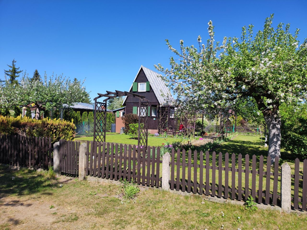 Działka rod Ciechanów, ul. Opinogórska. Zdjęcie 1