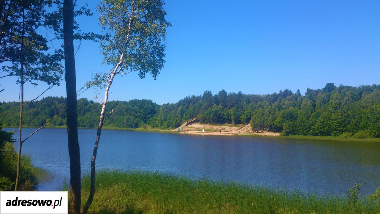 dom wolnostojący, 4 pokoje Częstocin. Zdjęcie 14