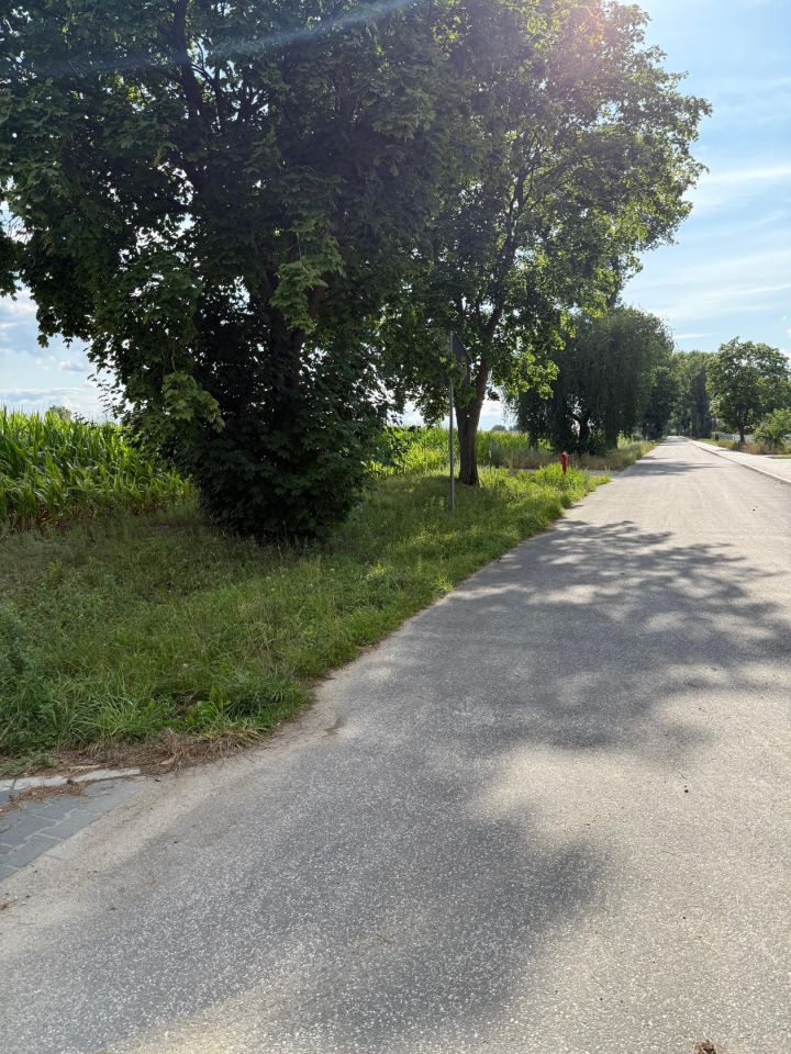 Działka budowlana Kłecko, ul. Cisowa. Zdjęcie 9