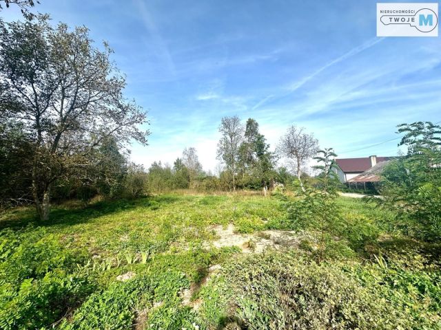 Działka rekreacyjna Morawica. Zdjęcie 5