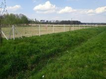 Działka rolno-budowlana Drołtowice. Zdjęcie 2