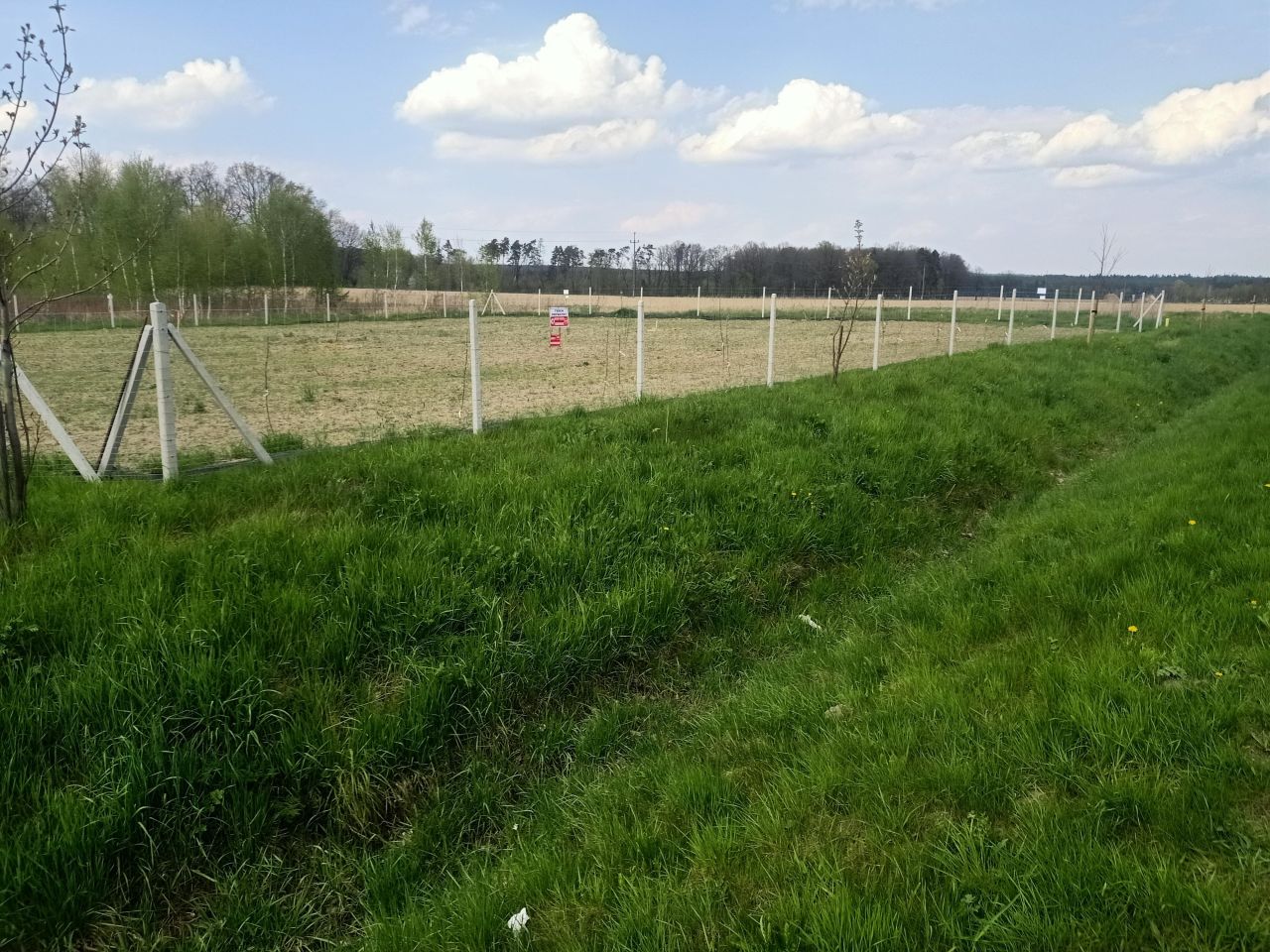 Działka rolno-budowlana Drołtowice. Zdjęcie 3