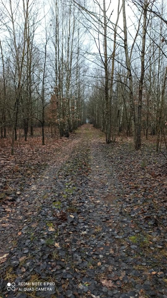 Działka inna Popielżyn Dolny. Zdjęcie 3