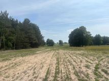 Działka rolno-budowlana Biernacice. Zdjęcie 3