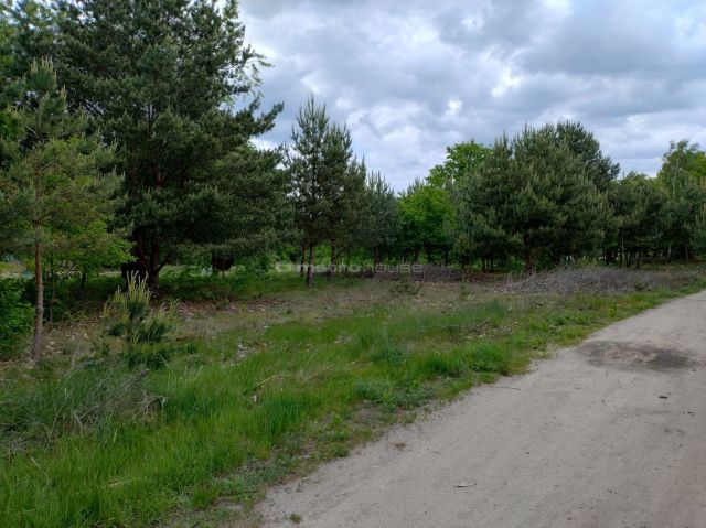 Działka budowlana Jachranka. Zdjęcie 2