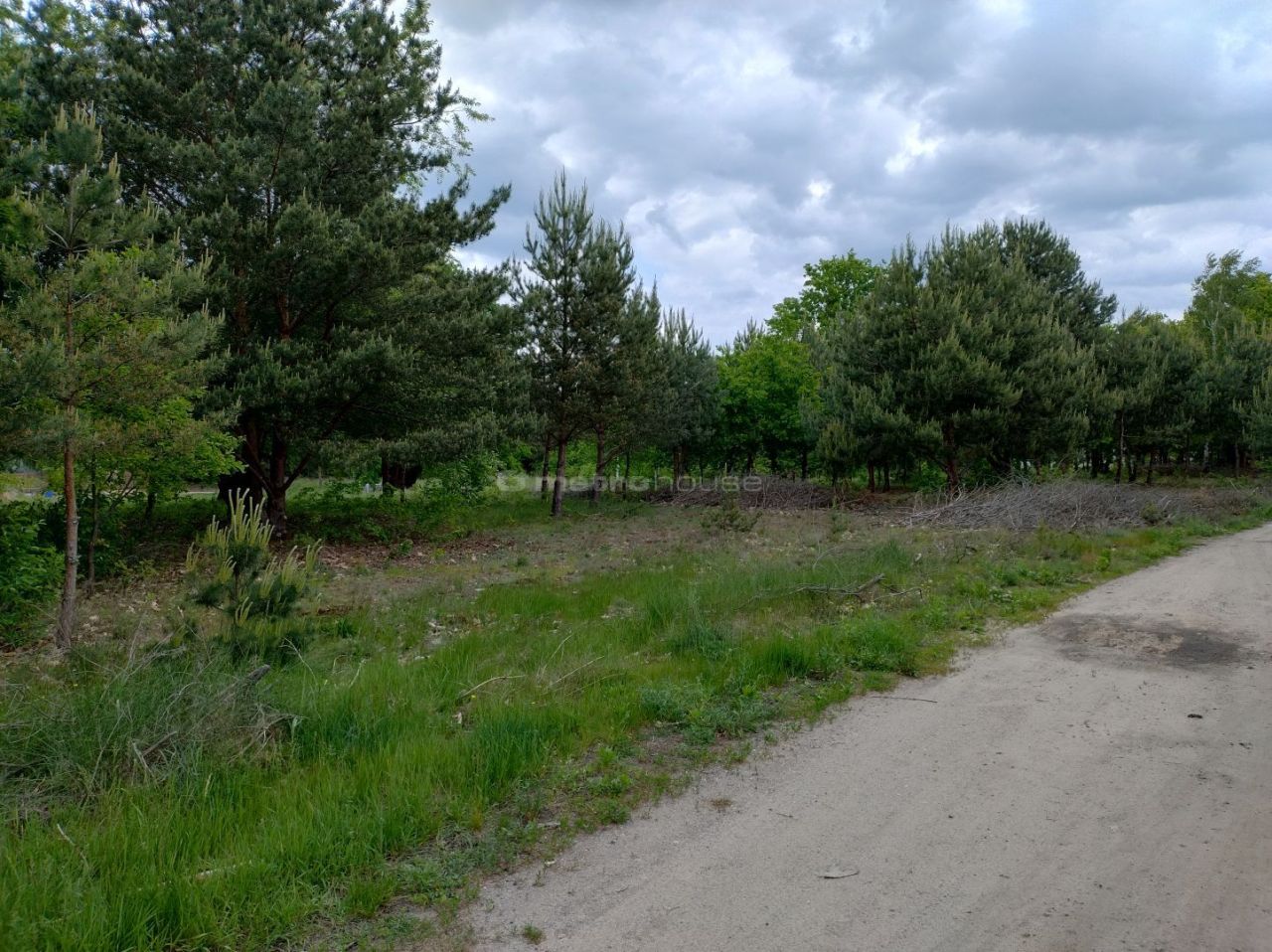 Działka budowlana Jachranka. Zdjęcie 2