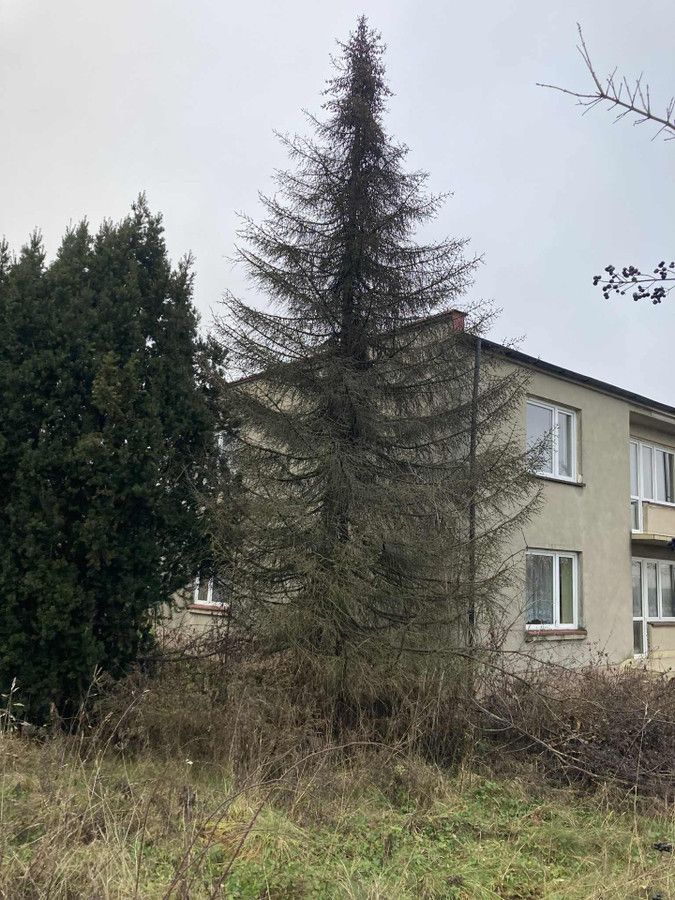 dom wolnostojący, 5 pokoi Muchnice Nowe