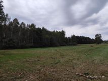 Działka leśna Miłosław. Zdjęcie 2