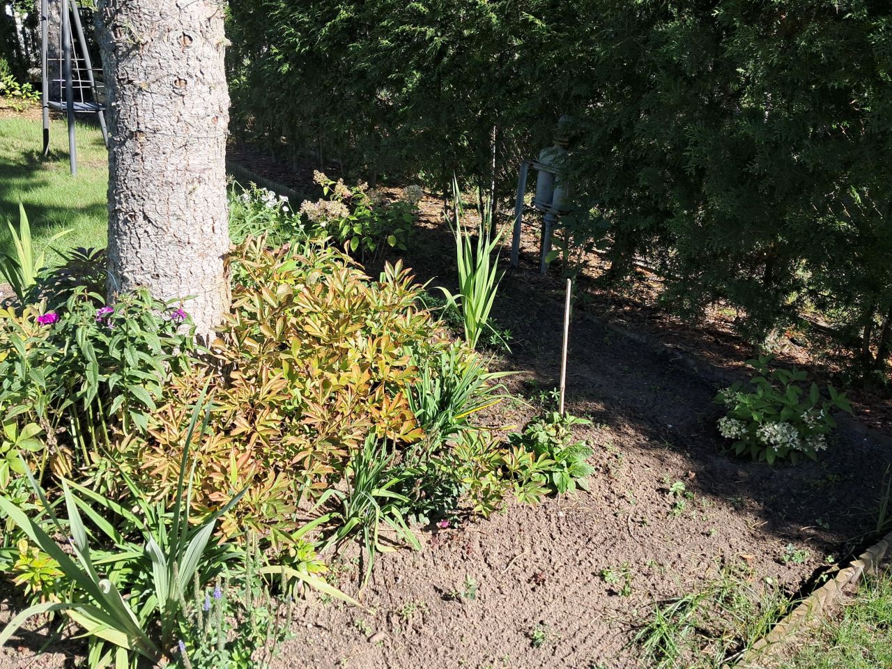 Działka rekreacyjna Żurczyn. Zdjęcie 9