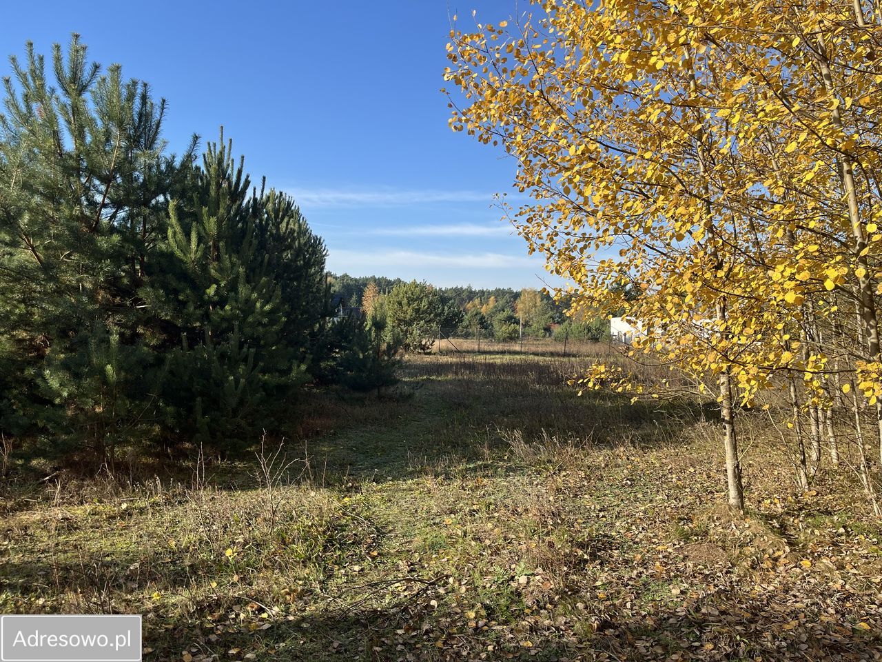 Działka budowlana Owczegłowy. Zdjęcie 12