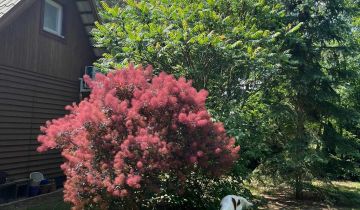 Działka rekreacyjna Arciechów