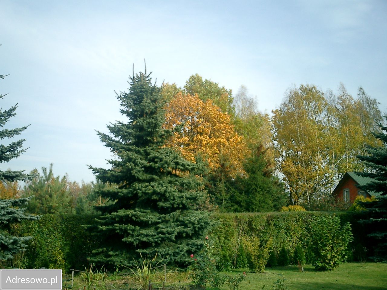 Działka rod Okołowice. Zdjęcie 13