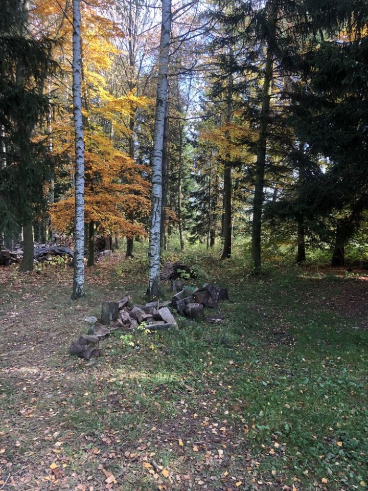 Działka budowlana Chocieszów. Zdjęcie 3