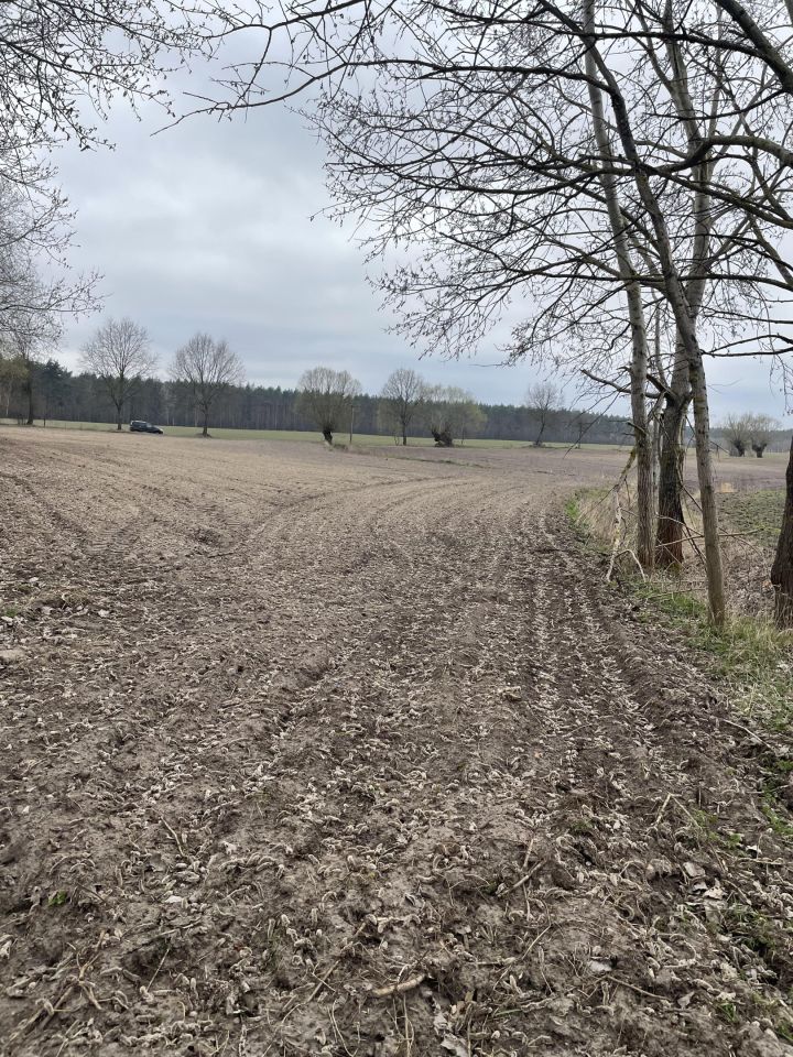 Działka rolno-budowlana Sienno. Zdjęcie 15