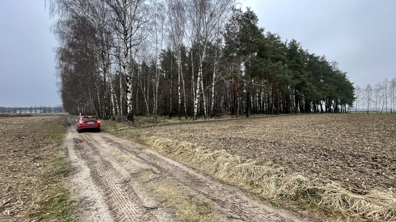 Działka leśna Skarżynek. Zdjęcie 6