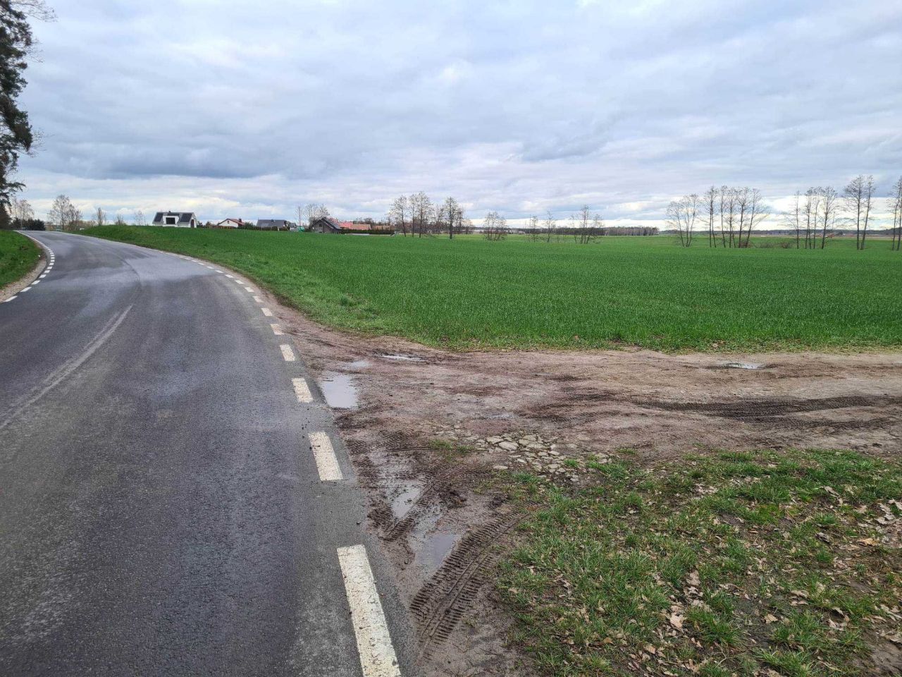 Działka budowlana Rybojedzko, ul. Leśna. Zdjęcie 5