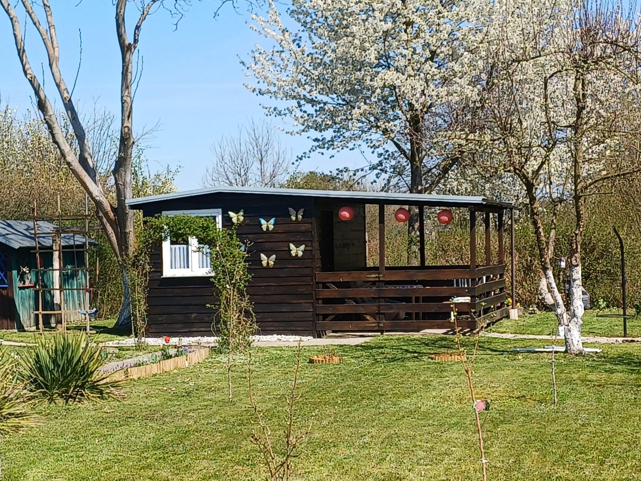 Działka rod Bystre, Trakcyjna. Zdjęcie 5
