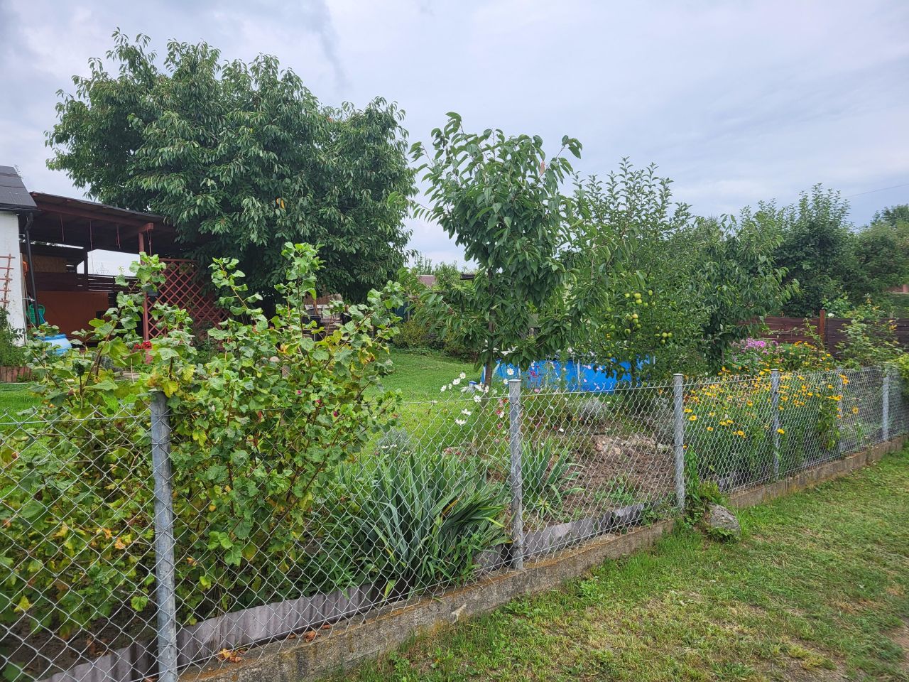 Działka rod Szczecin. Zdjęcie 4