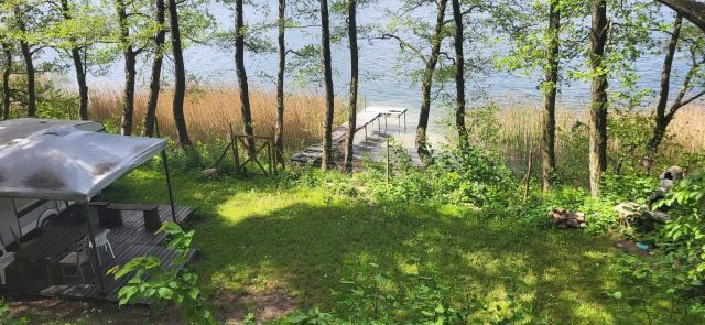 Działka leśna Borkowo. Zdjęcie 1