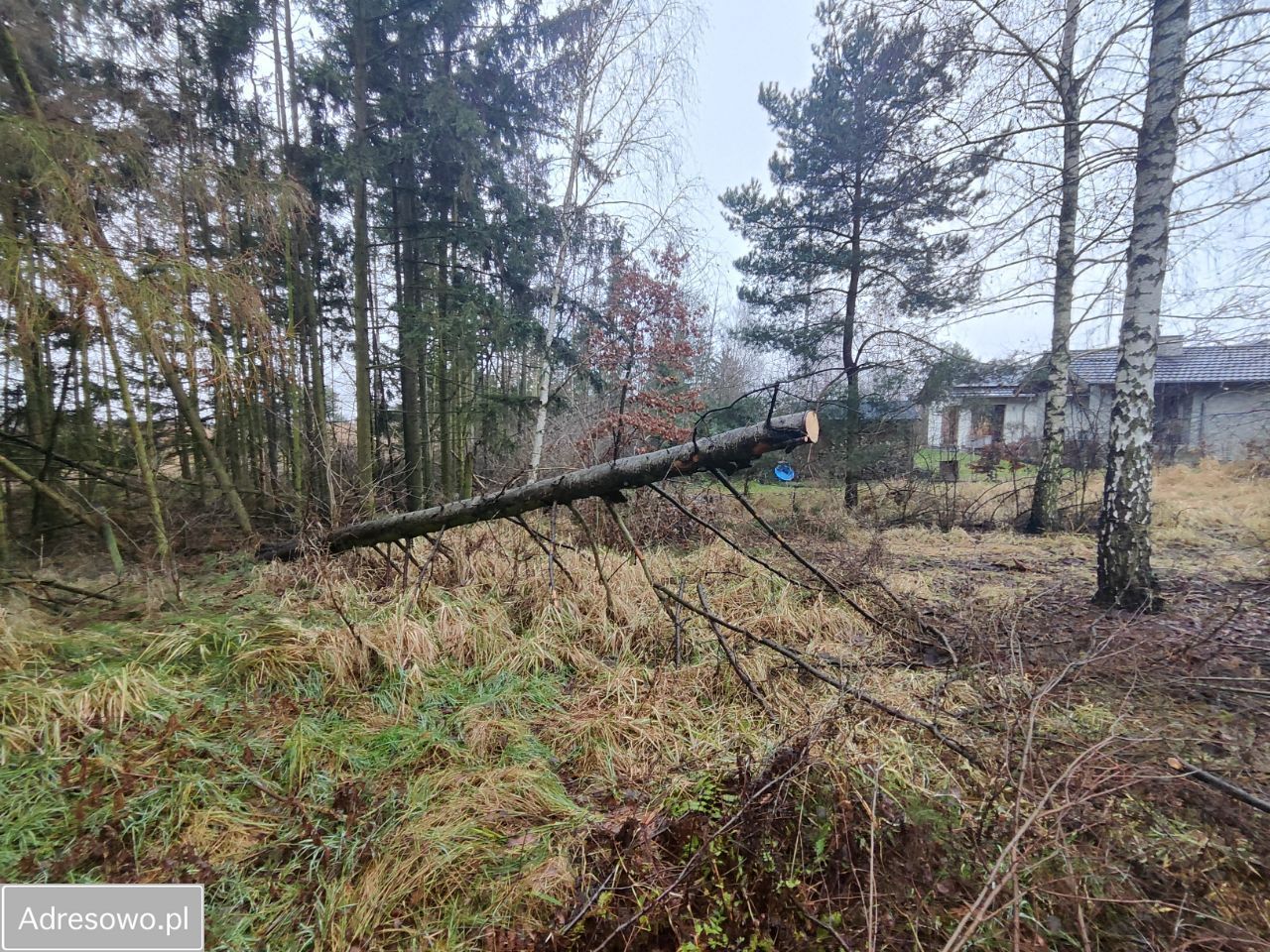 Działka budowlana Kobylniki, ul. Klonowa. Zdjęcie 3