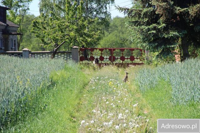 Działka siedliskowa Smolino. Zdjęcie 1