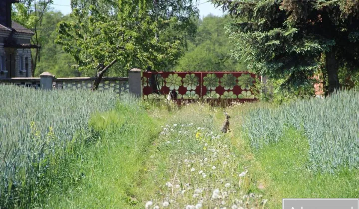 Działka siedliskowa Smolino