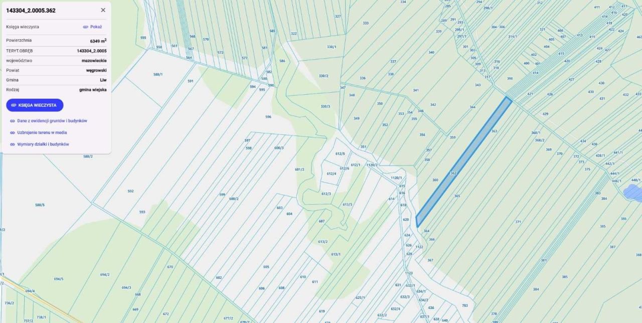 Działka leśna Krypy. Zdjęcie 7