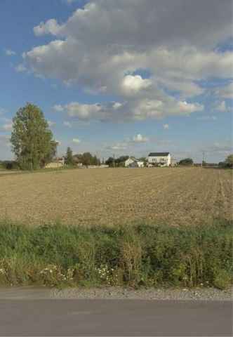 Działka budowlana Borki. Zdjęcie 1