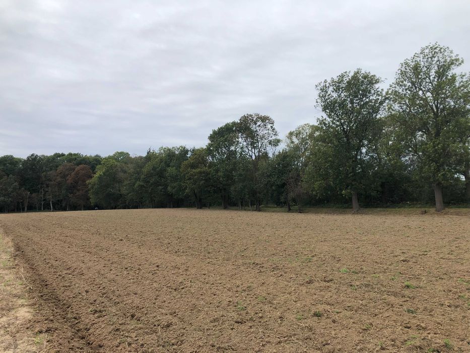 Działka budowlana Syców, ul. Polna. Zdjęcie 7