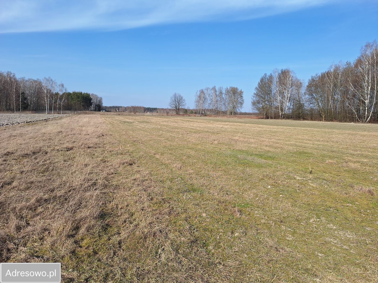 Działka budowlana Dobiesz. Zdjęcie 3