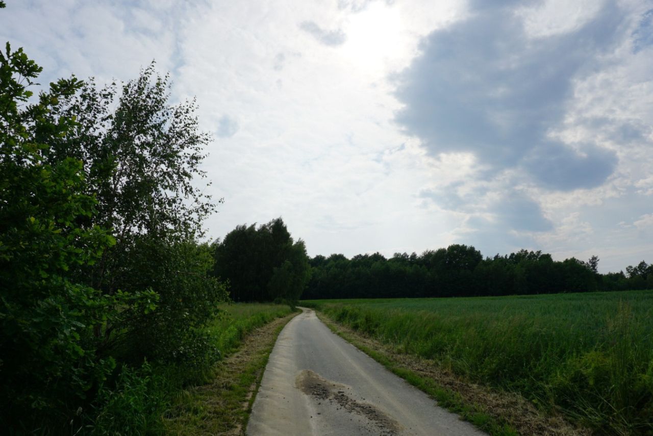 Działka budowlana Przybówka. Zdjęcie 3