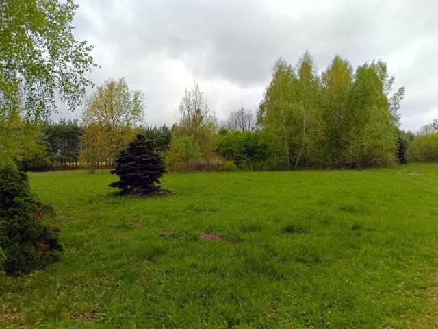 Działka rolna Smogorzewo Pańskie. Zdjęcie 1